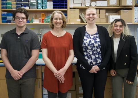 From left: Harrison Katz, Diane Hoffman-Kim, Rachel McLaughlin and Ilayda Top in the Hoffman-Kim lab