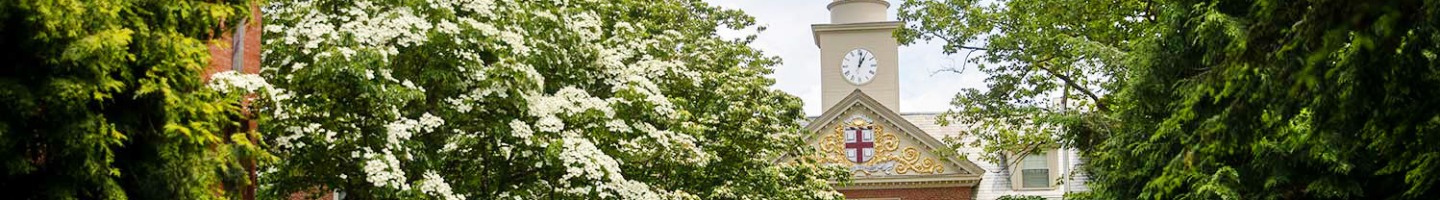 Campus during Spring